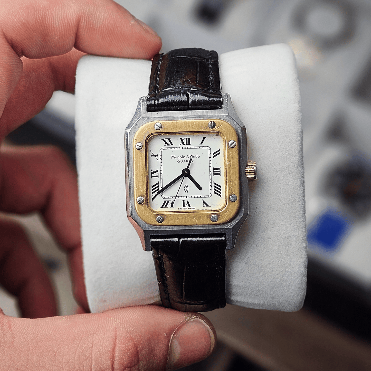 Mens Mystery Watches (Early Access)